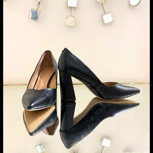 Circus NY  Sam Edelman Black Snakeskin  Block Heel Pump size 11 New